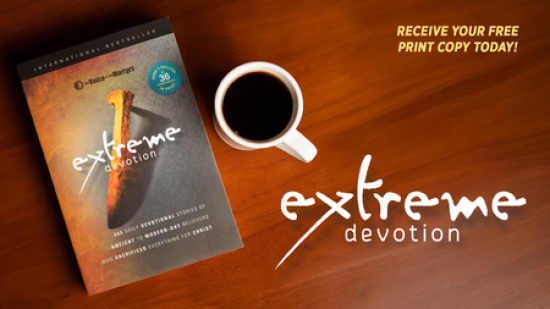 FREE Book: Read 365 Stories of Courageous Faith
