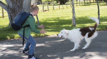 Christian Davis, as played by Connor Corum (Heaven Is for Real), and Pluto in the 2017 film "The Stray."