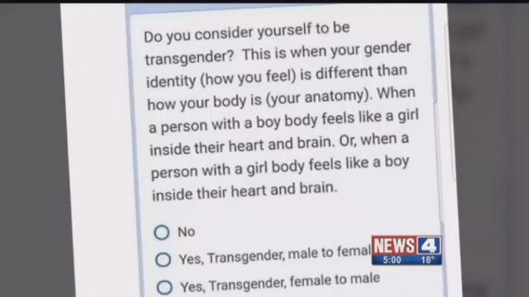 Gender survey
