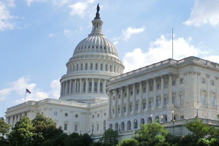 Senate Democrats Block Bills Against Late Term Abortion