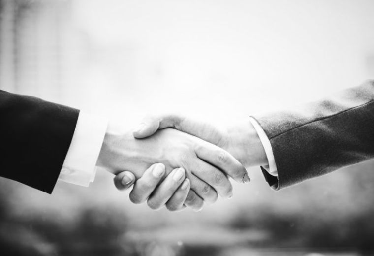 hands, handshake