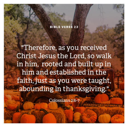 Bible Verses For Thanksgiving Top Inspiring Scriptures On Gratitude The Christian Post