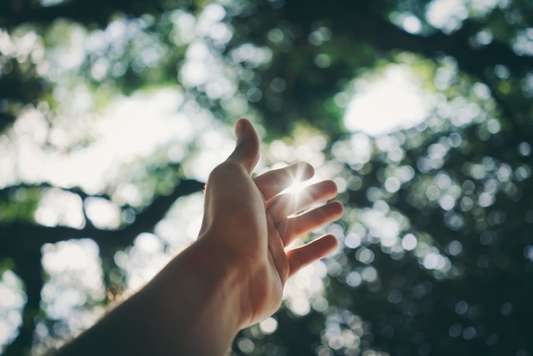 hand