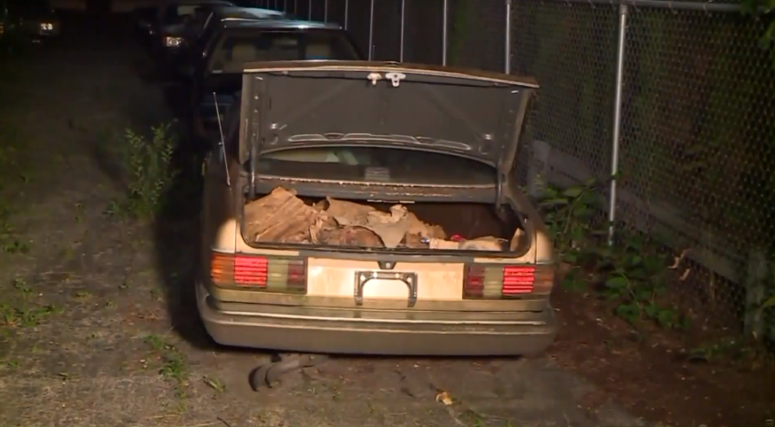 Aborted babies' remains were discovered in the trunk of a 1990s Mercedes Benz owned by the late abortionist Ulrich Klopfer. The vehicle was being stored in a gated lot at a business in Dolton, Illinois, the Will County Sheriff’s Office said in a statement released on Oct. 9, 2019.