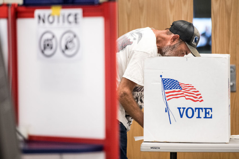 vote, election