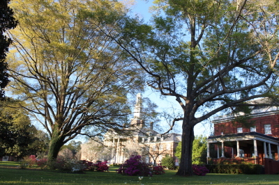 Judson College in the Spring