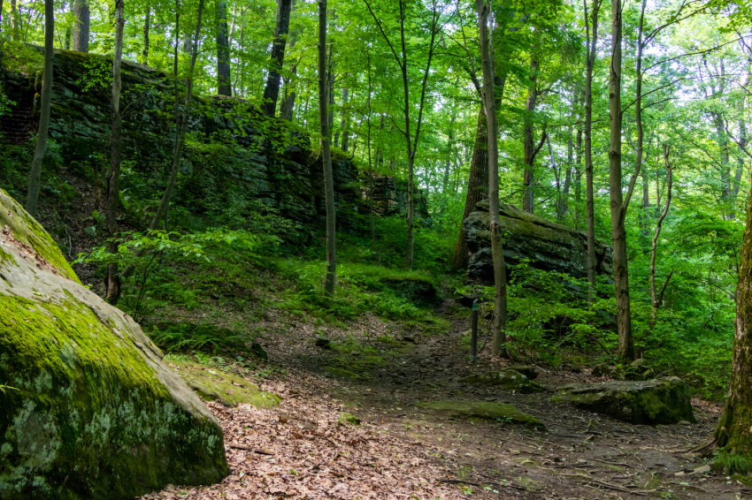 Jumonville Glen, where in May 1754 a young George Washington ambushed the French and started a world war known as the Seven Years’ War.