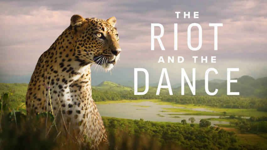 "The Riot and the Dance" movie poster