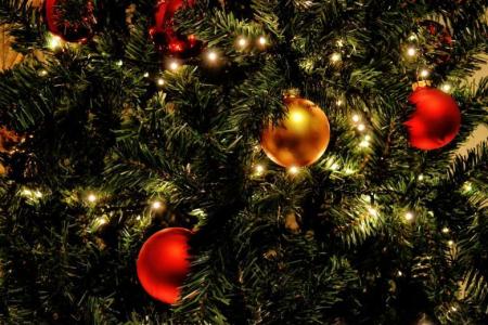 Christmas Tree
