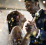 Marriages are scarce in urban America but abound in wealthier suburbs: study