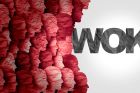 Charles Haywood and how 'no enemies to the right' shields the woke right