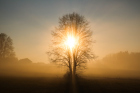 5 cautions before you trust a 'word from the Lord'