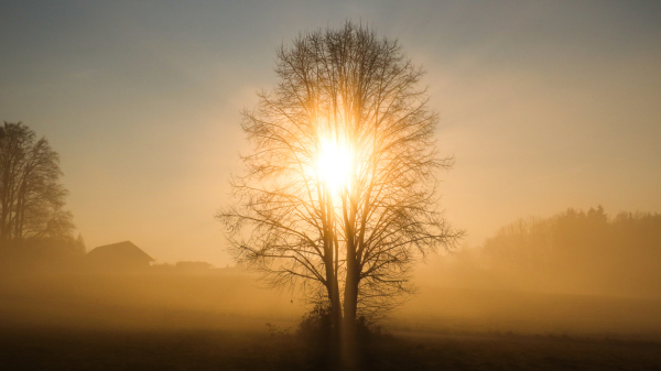5 cautions before you trust a 'word from the Lord'