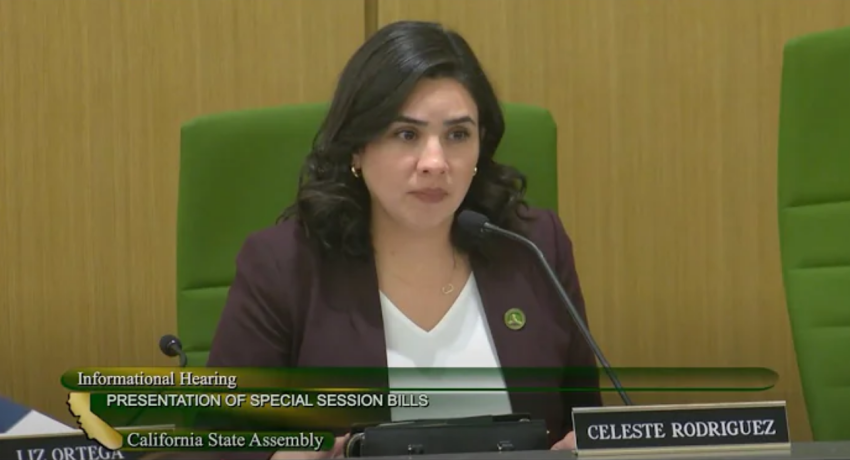 Assemblymember Celeste Rodriguez, D-San Fernando, in an undated screenshot.