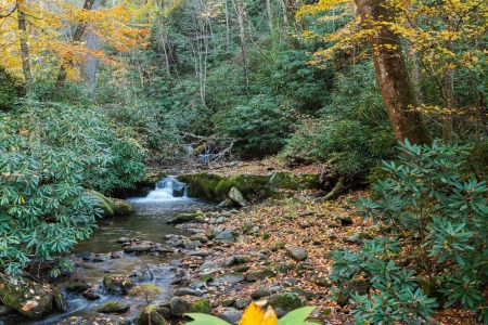 Sevierville is a gateway to Great Smoky Mountains National Park.