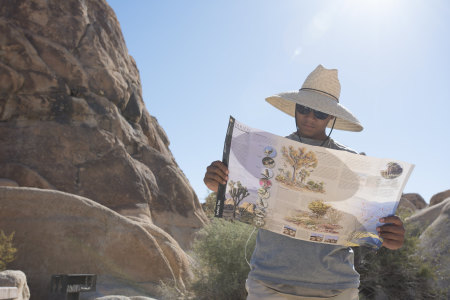 The Joshua Tree National Park in California.