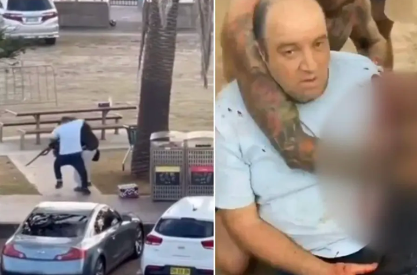 Ahmed al-Ahmed takes down one of the Bondi Beach shooters (left) and is wounded. 