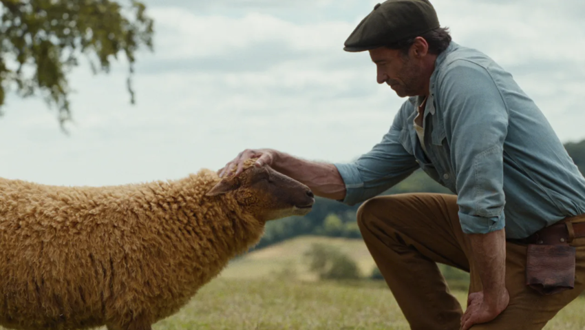 The Sheep Detectives