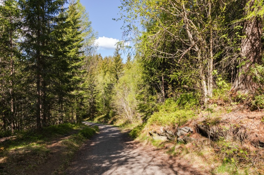 The final stage of the St. Olav pilgrimage route on the outskirts of Trondheim, Norway.