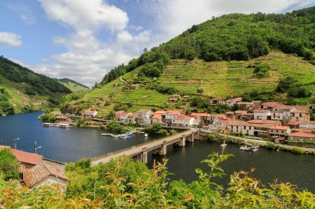 Vineyards surround Belesar, a village located on both sides of the Minho River, in Galicia, Spain.