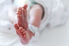 1-year-old euthanized under new rules in the Netherlands allowing termination for sick children