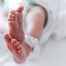 1-year-old euthanized under new rules in the Netherlands allowing termination for sick children