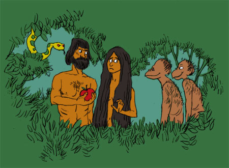 Credit : 