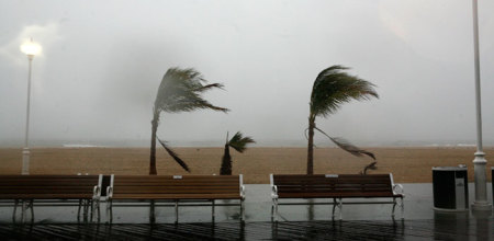 Trees are affected by the early effects of Hurricane Irene on the empty board walk in Ocean City, Maryland, August 27, 2011. National Hurricane Center Director Bill Read said Irene, which will be the first significant hurricane to affect the populous Northeast in decades, would lash the Atlantic seaboard with tropical storm-force winds and a "huge swath of rain" from the Carolinas to New England.