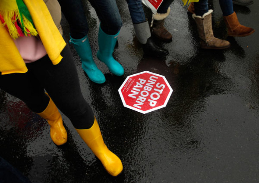 Pro-life demonstrators take part in the