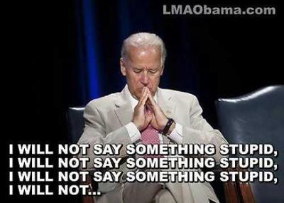 Joe Biden Something Stupid
