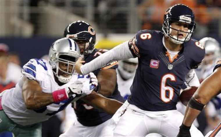 chicago bears