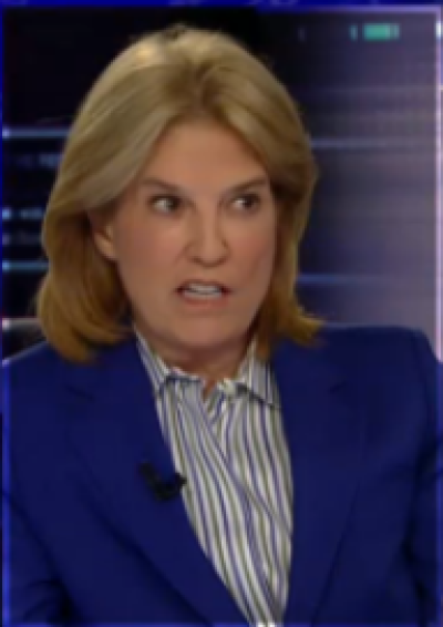 Greta Van Sustern Fox News'