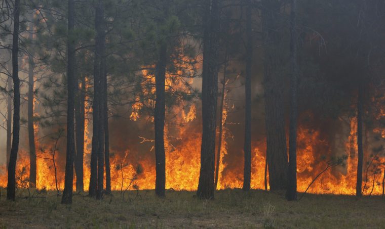 Colorado Wildfires 2013 Black Forest