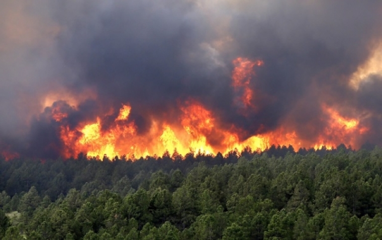 Colorado Wildfires 2013