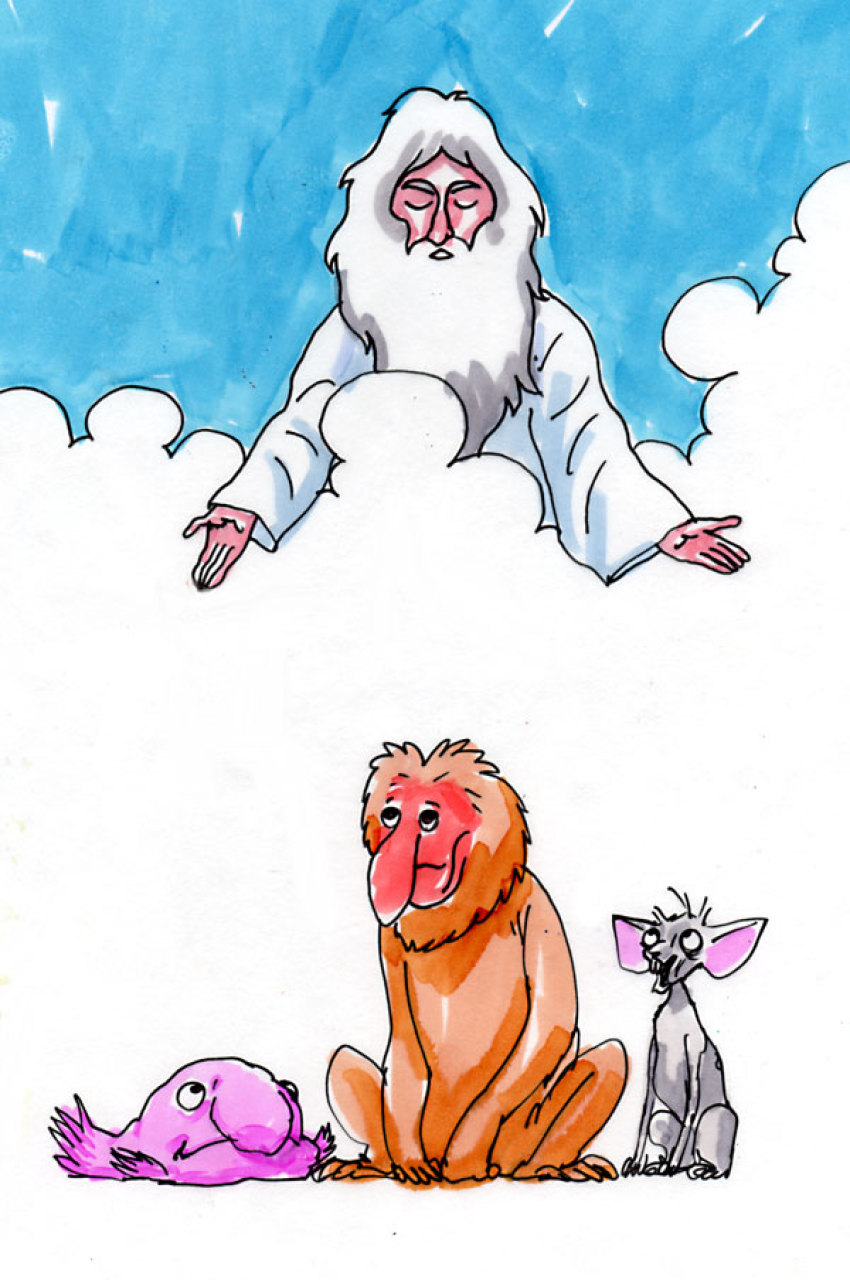 Credit :
