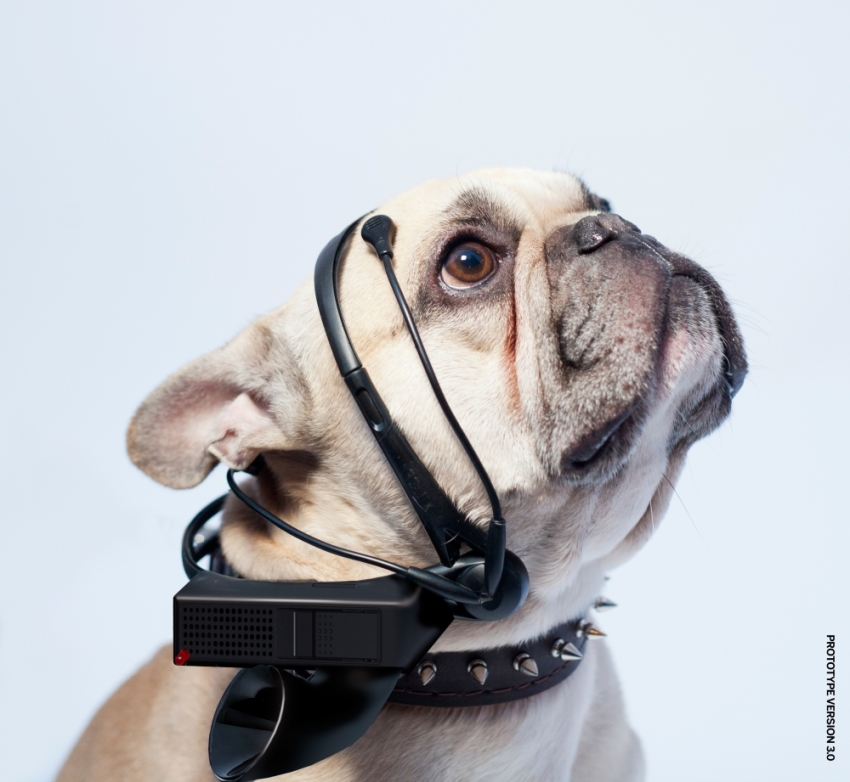 A dog models the No More Woof.