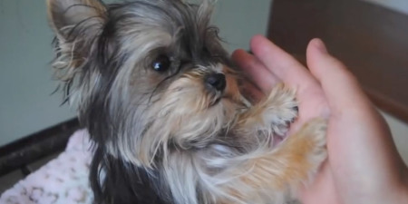 Credit :