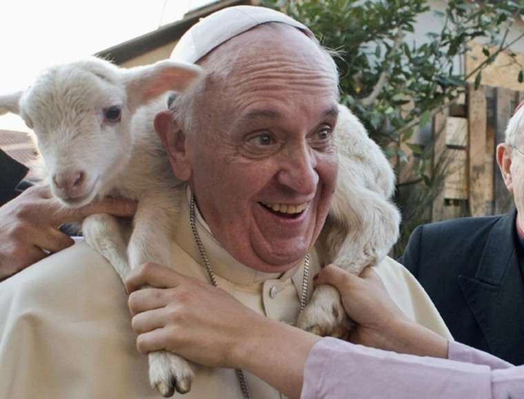 Pope Francis wears a sheep