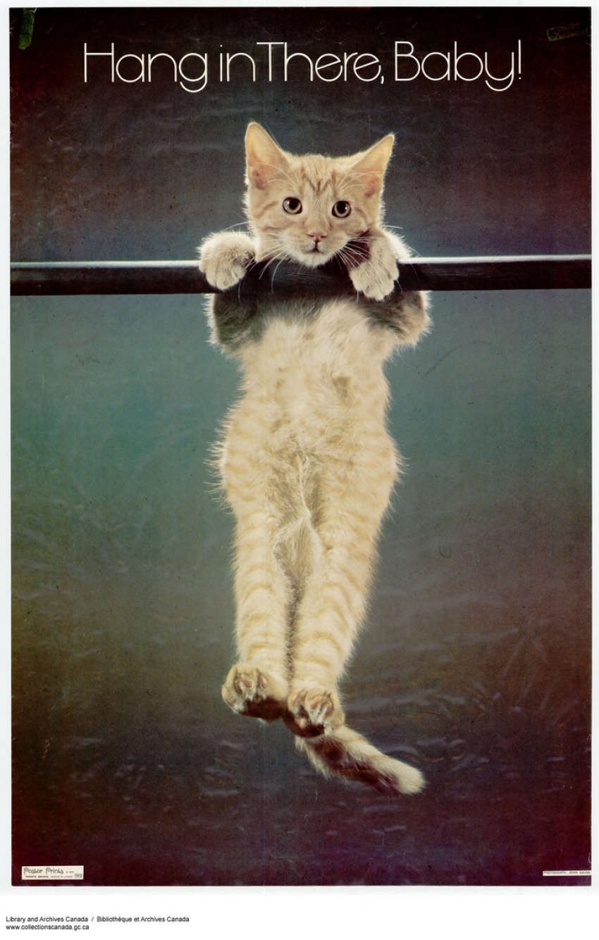 Credit : (Photo: Sir Jeffrey Simpson/Pinterest)