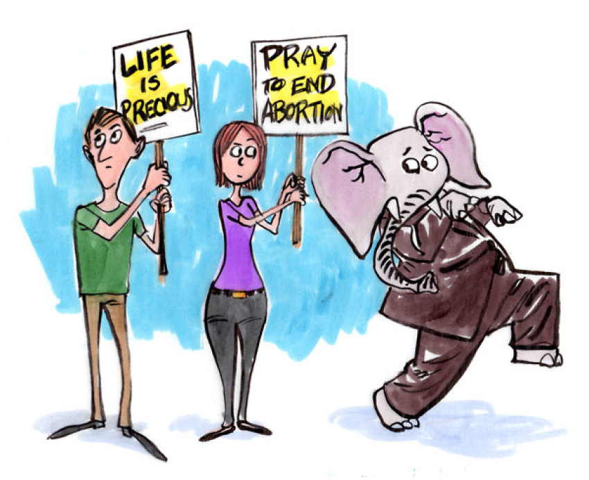 Credit :