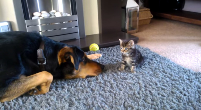 Kobi and TigerLily