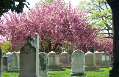 Congressional Cemetery