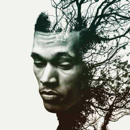 Cover art for Trip Lee's