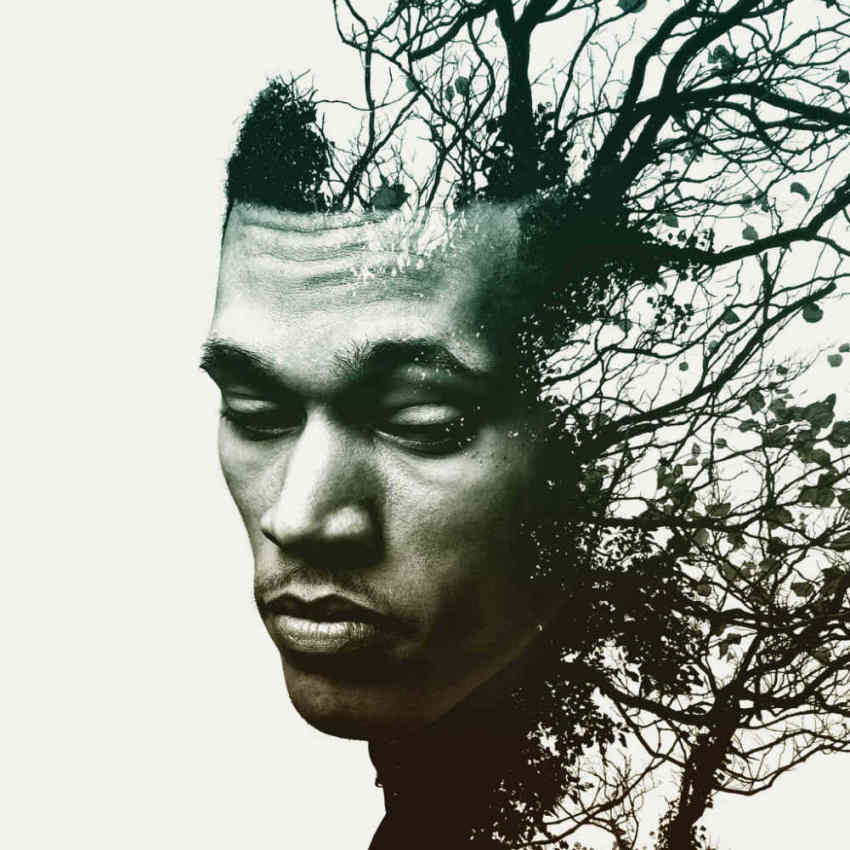 Cover art for Trip Lee's