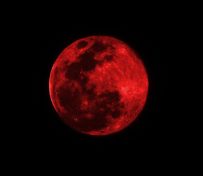 Credit : Sudhamshu Hebbar/Flickr/Photo