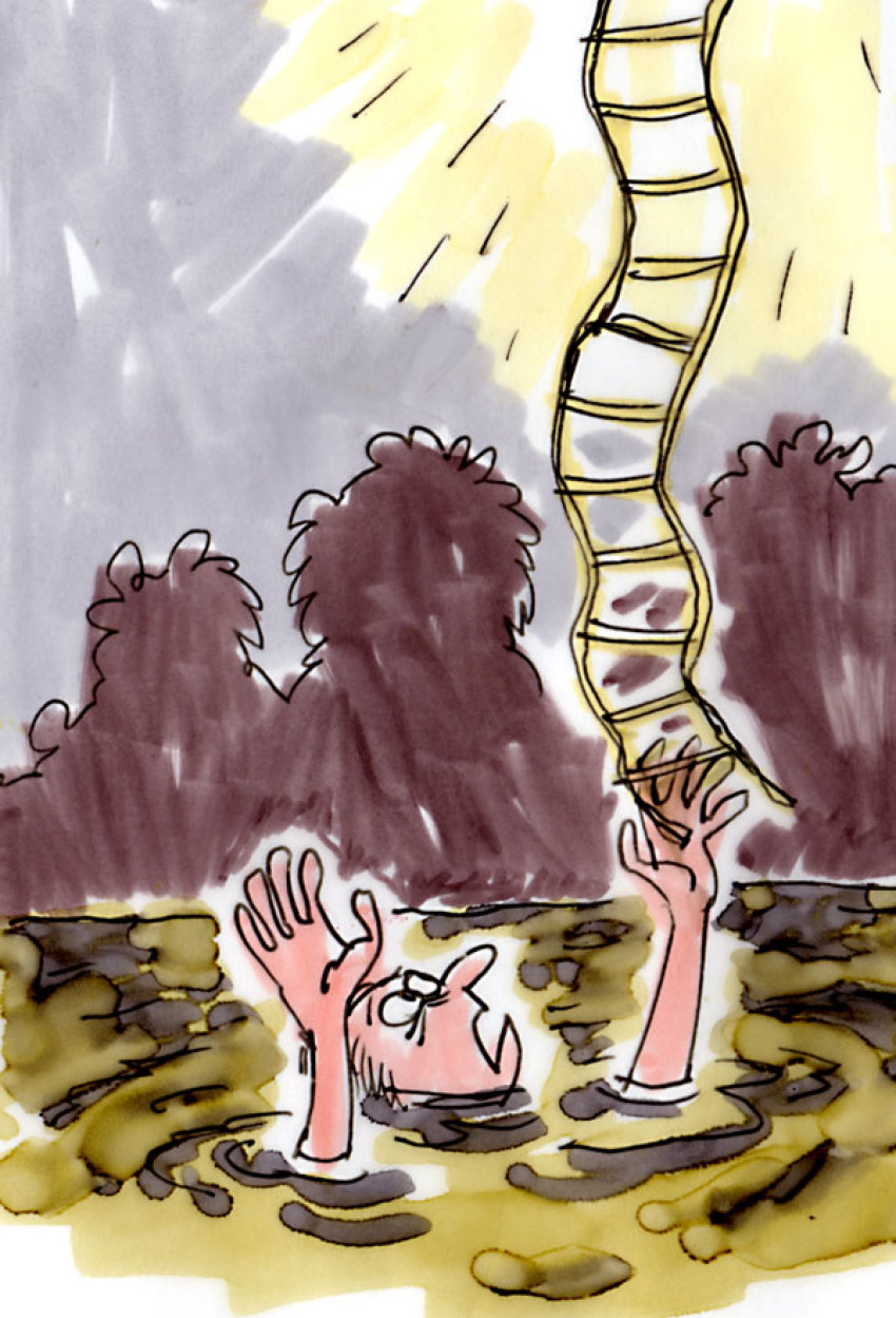 Credit :