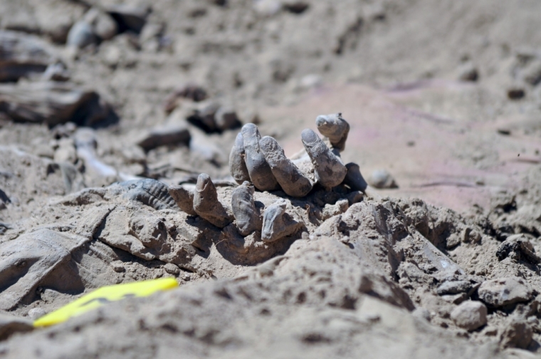 A hand is seen as Iraqi forensic teams recovered dead bodies from a mass grave in the presidential compound of the former Iraqi president Saddam Hussein in Tikrit, April 6, 2015. Iraqi forensic teams began on Monday excavating 12 suspected mass grave sites thought to hold the corpses of as many as 1,700 soldiers massacred last summer by Islamic State militants as they swept across northern Iraq.