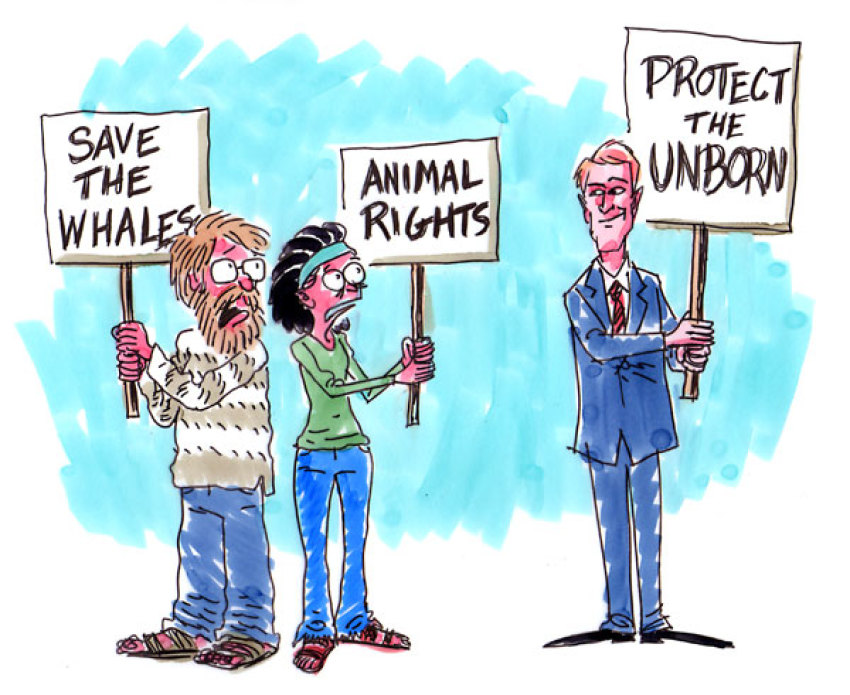 Credit :