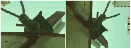 Seen here is an image (L) of what TLC Painting owner Ted Curato describes as a "heaving line knot." On the right, the image has been rotated to give an alternate view of the heaving line knot.