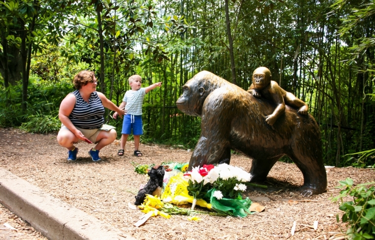 Cincinnati Zoo's Gorilla World